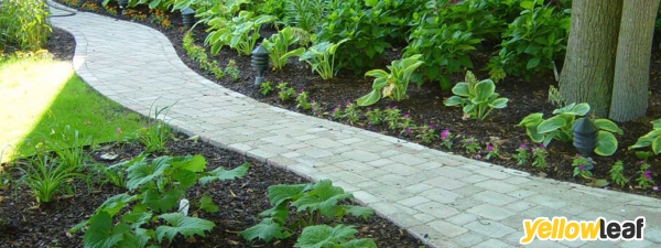 Kings Landscapes