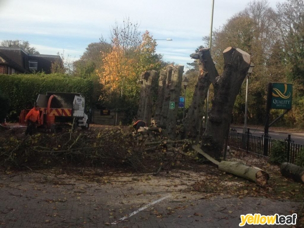 Oaklands Tree Specialists Ltd