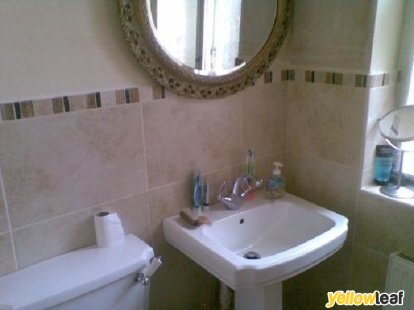 Plumbing Services