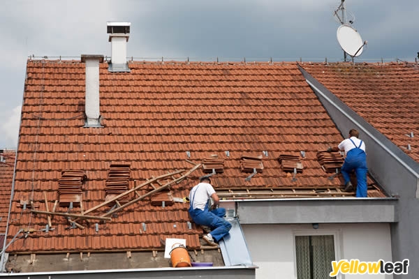 Ap. George Building & Roofing