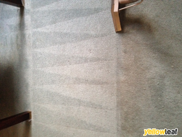 No1 Carpet Cleaning