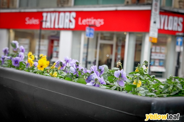 Taylors Lettings