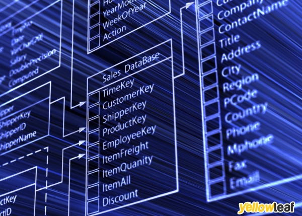 Business Intelligence Reports