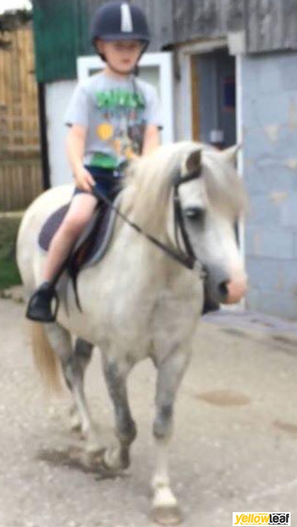 Rmc Equestrian Centre