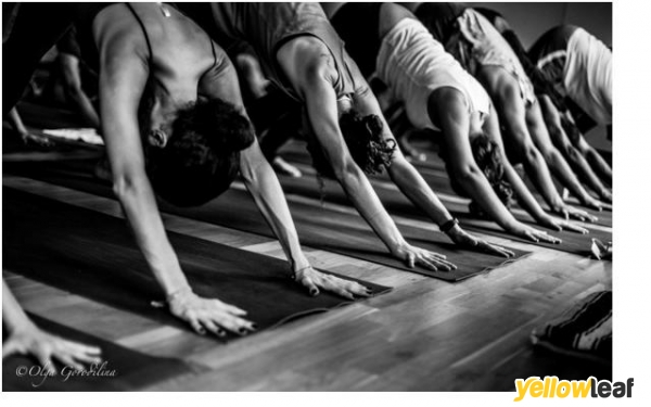 Sangye Yoga