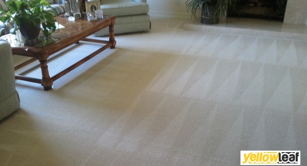 Freshlux Carpet Care & Oven Cleaning