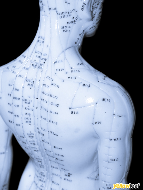 Mark Arnold Acupuncture