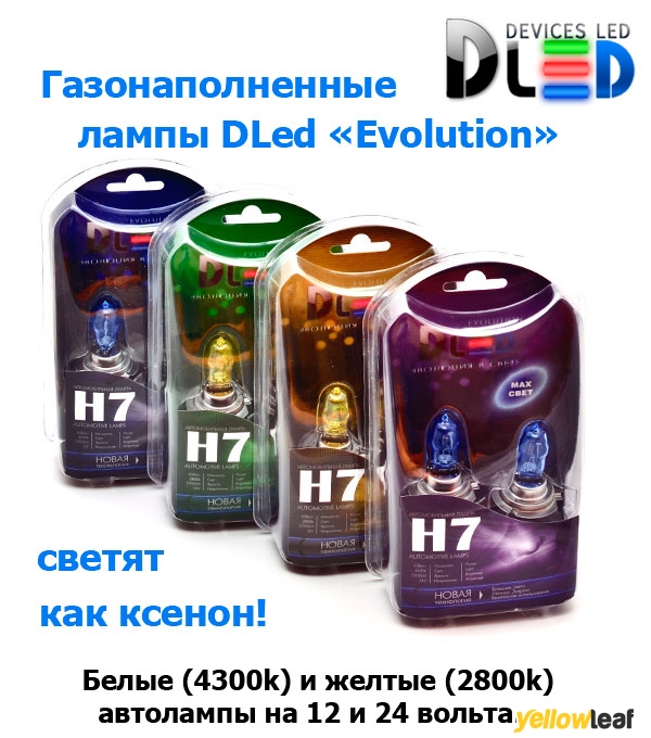 DLED corp.company