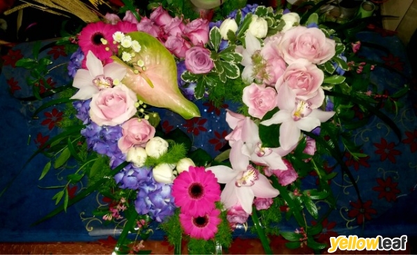 Prima Flora