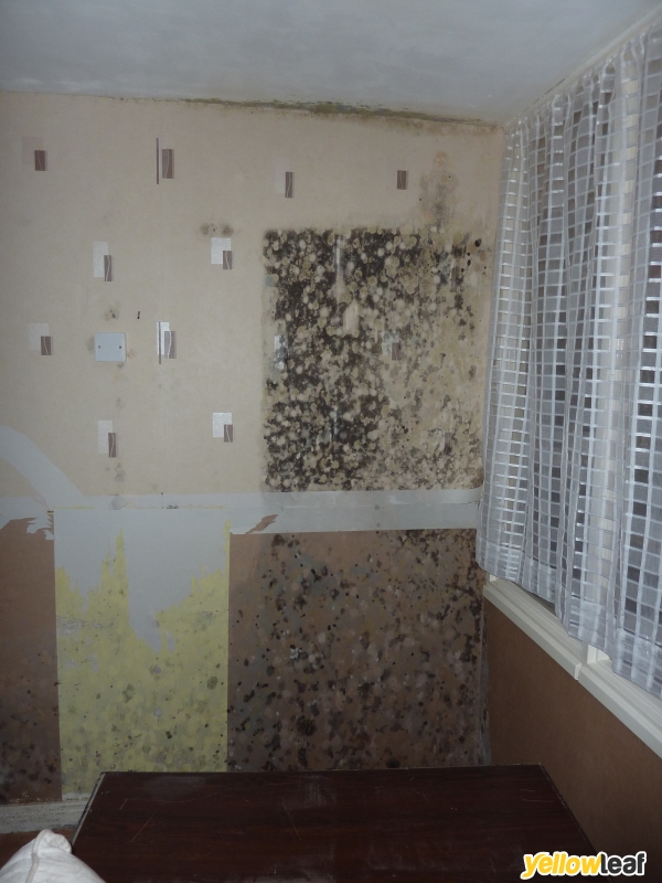 Mould Doctor Ltd