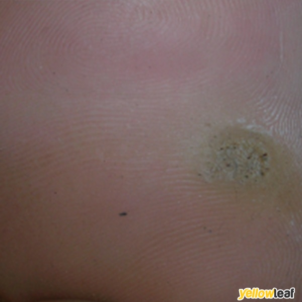 The Foot Clinic