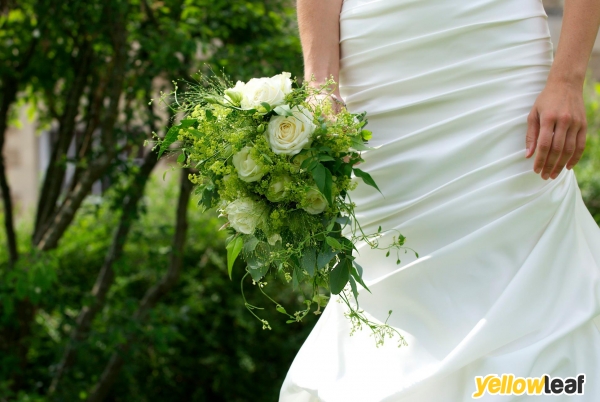 Dinky Pics Portrait Photography & SVP Wedding Photography