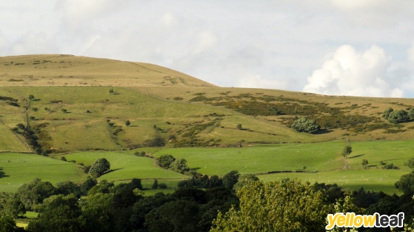 Cheshire House Bed And Breakfast