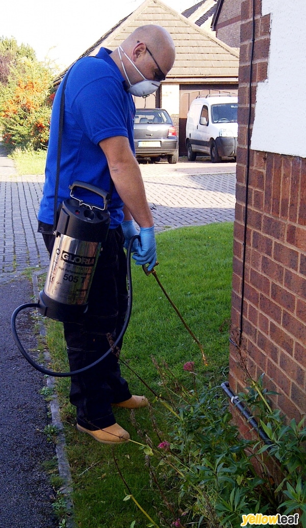 Area Pest Control