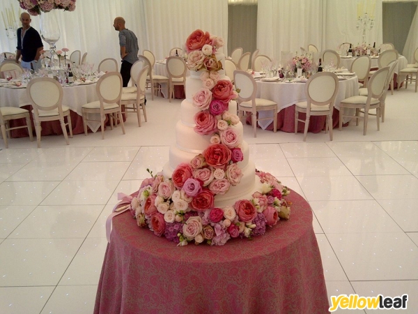 Cakes 4 Fun & Eelgateau Cakes