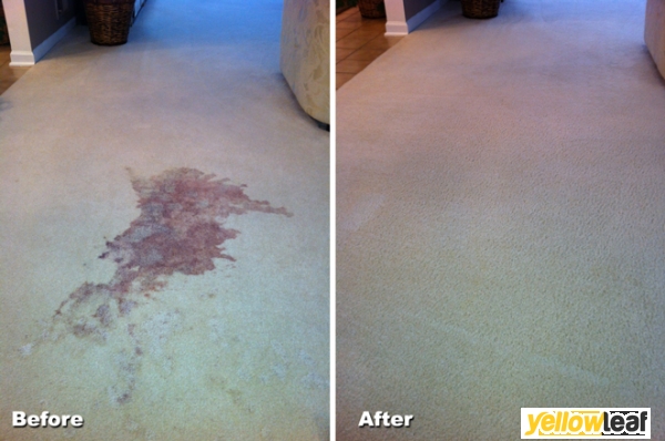Carpet Bright UK - Cheltenham