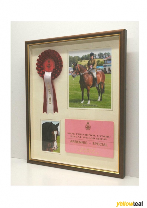 Studio 4 Picture Framing