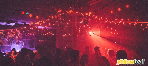 XOYO