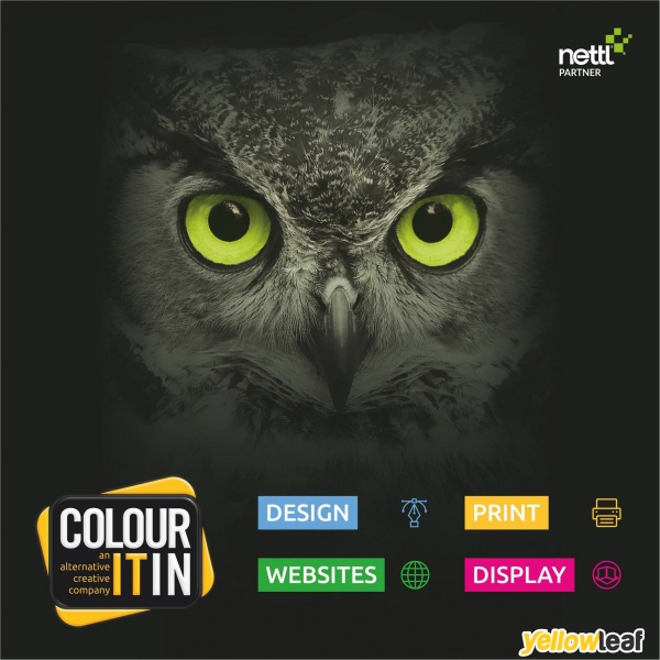 Colour It In Ltd