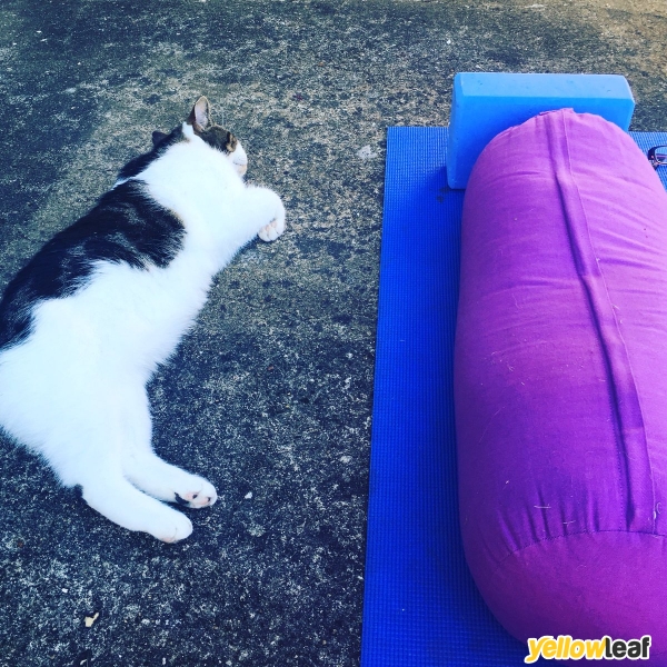 Yoga Classes London - Samsara
