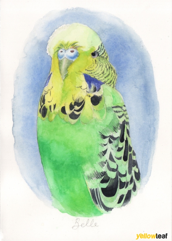 Pet Portraits