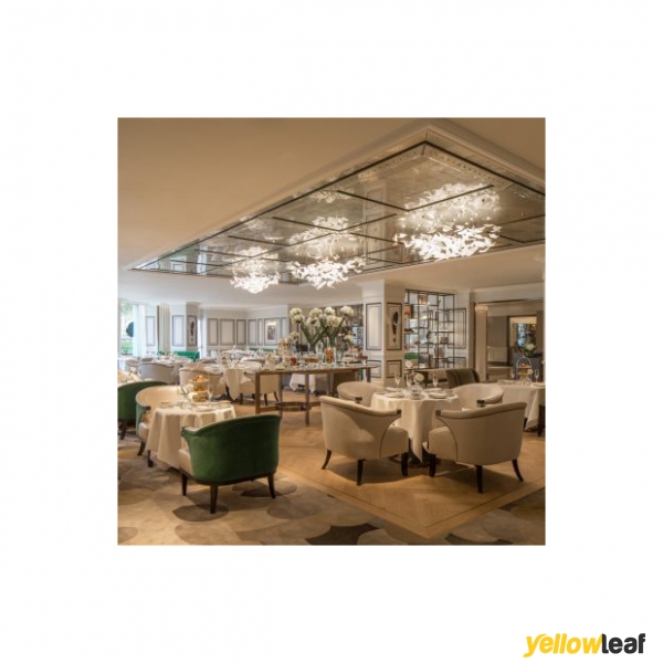 Park Room at Grosvenor House