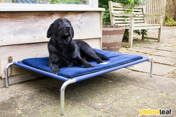 Berkeley Dog Beds Limited