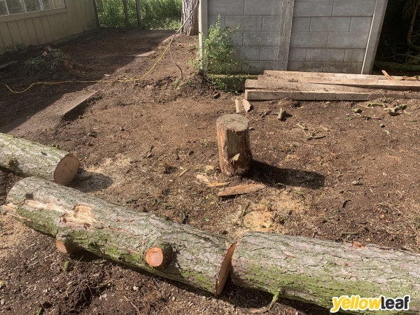Stump Removal Services