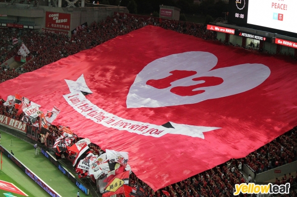 Banner World Ltd