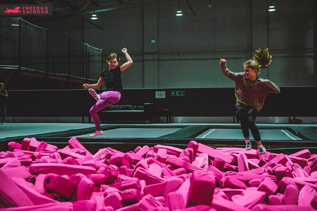 Freedog Swindon Soft Play and Indoor Activities