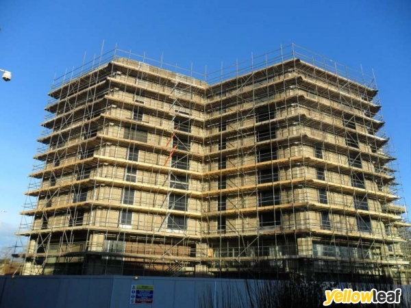 1st Scaffolding