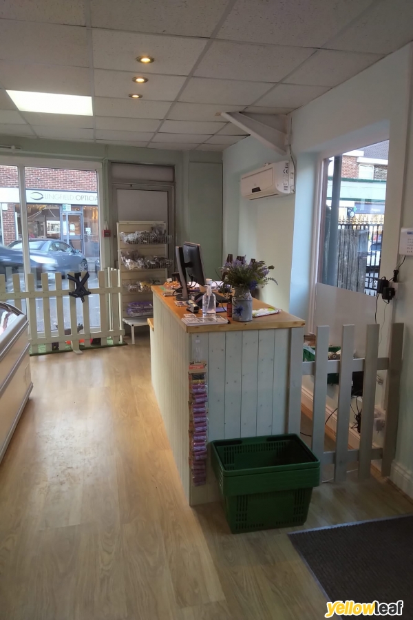 BB Pet Supplies Ltd