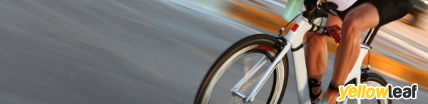 Cycle Claims Management Services