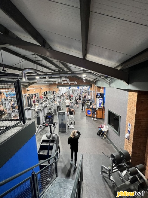 Gainz Fitness & Strength Bedford