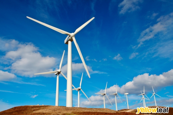 Ipsg Renard Energy Management