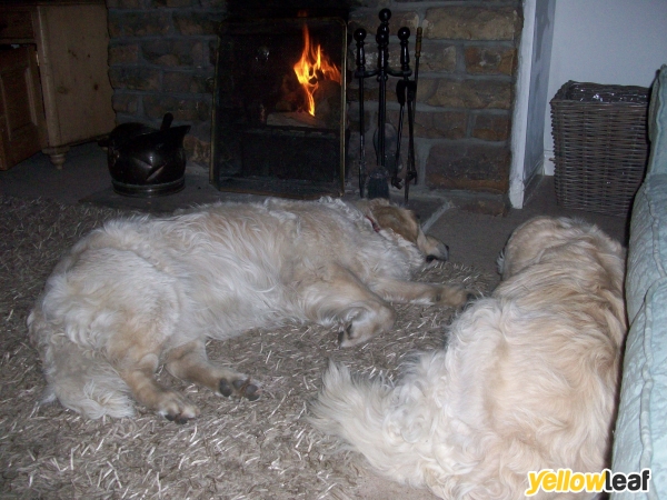 Caninecountrycottage