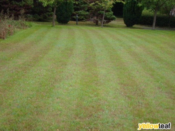 Benjamin O'neill Grounds Maintenance