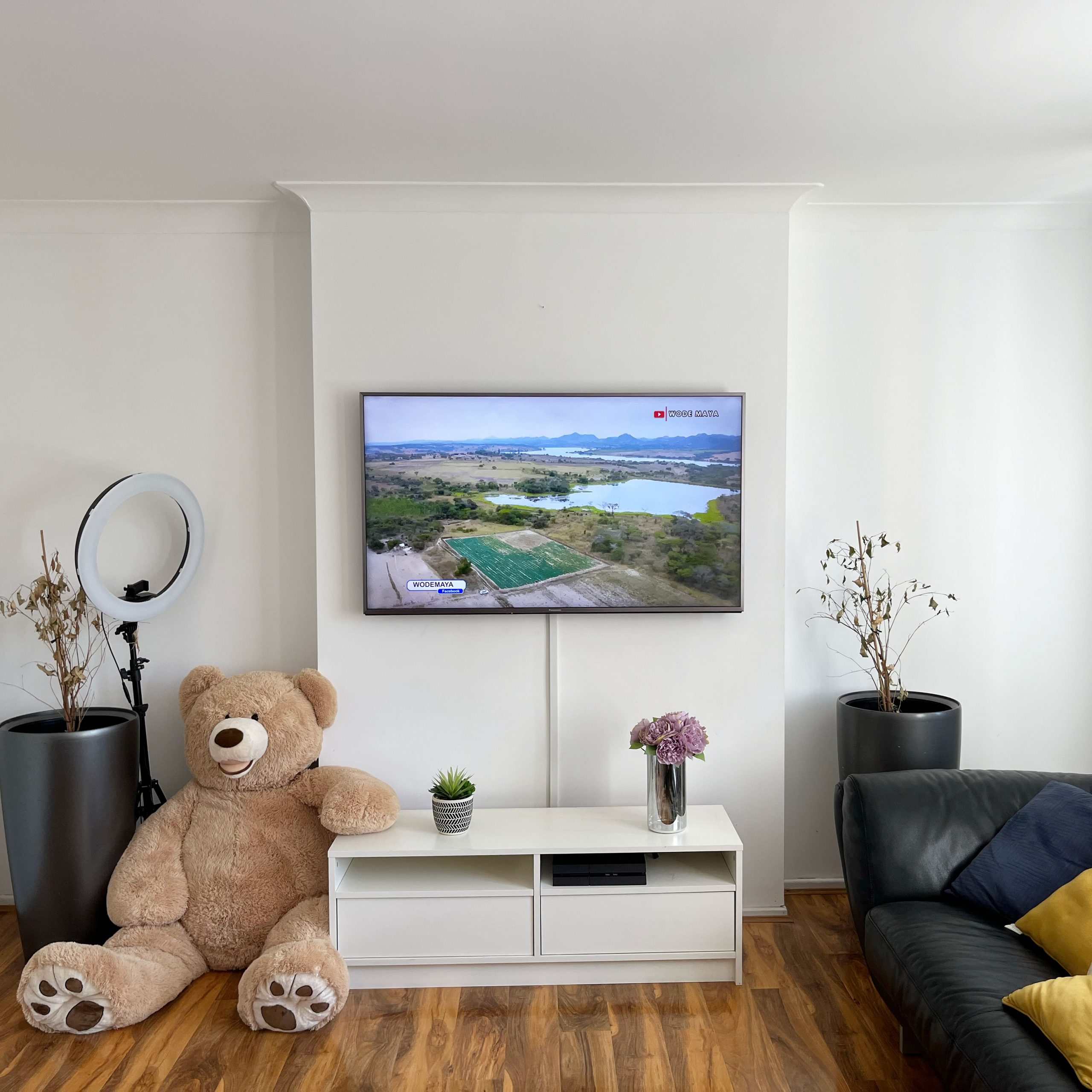 TV Mounting Pro