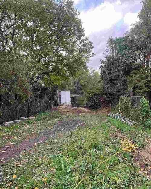 Chigwell Tree Services