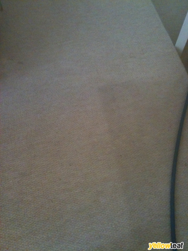 Martins Cleaning Services Ltd