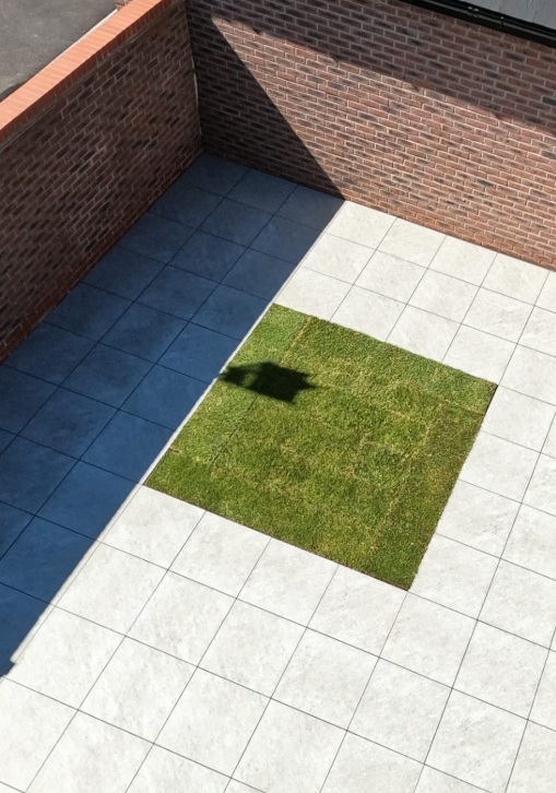 ProBuild Paving