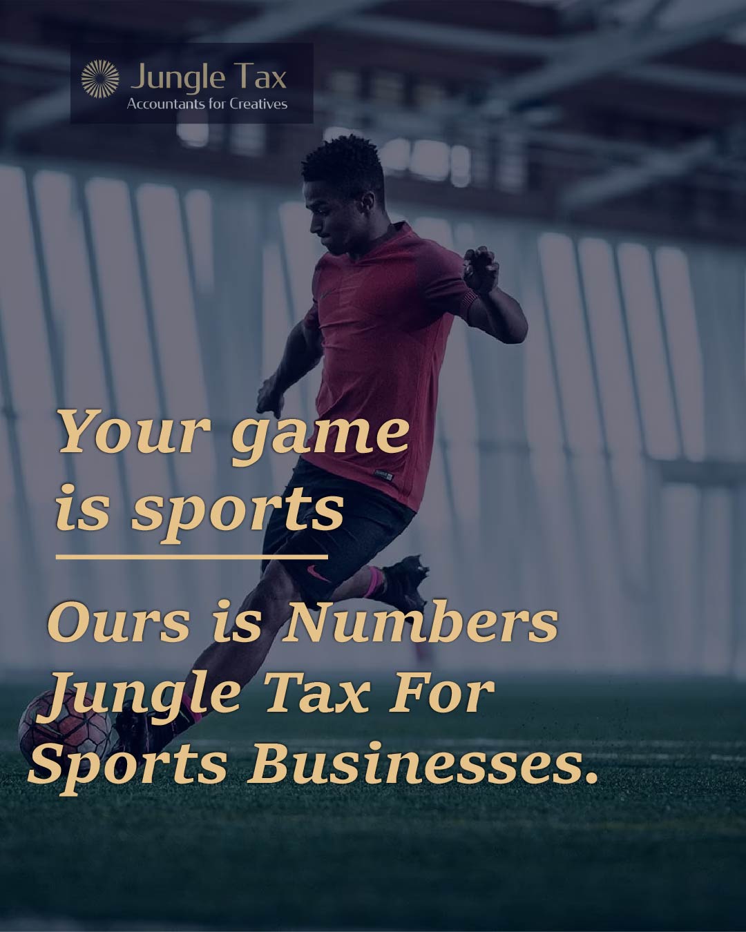 Jungle Tax UK