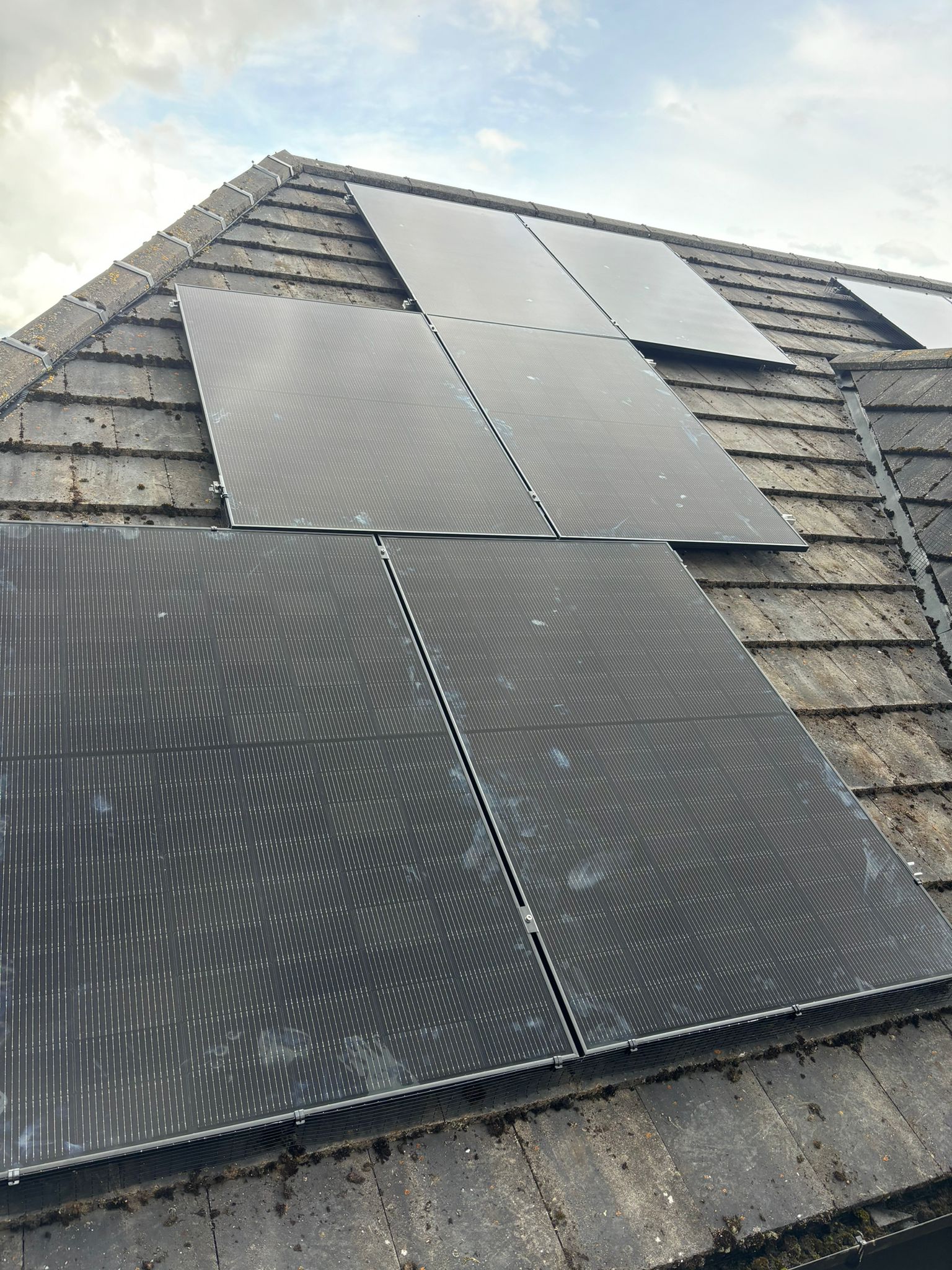 The Greener Roof Co