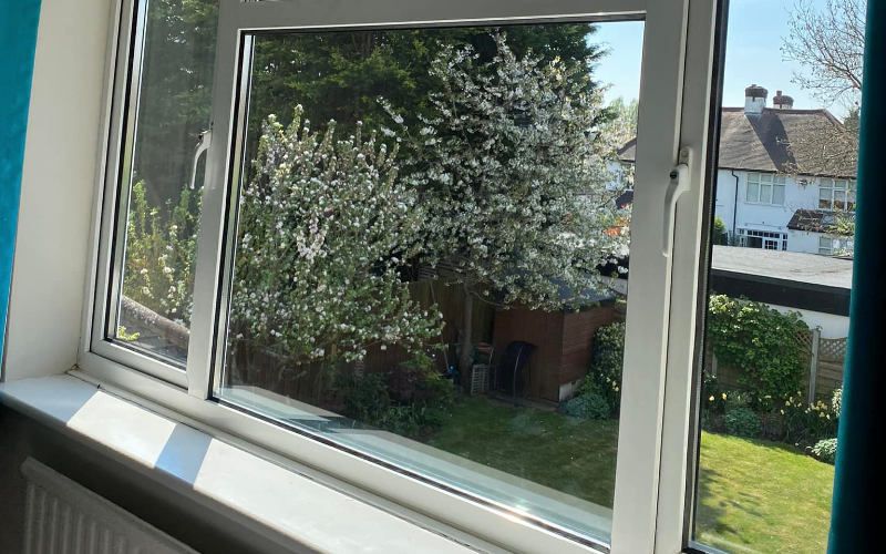 The Window Surgery