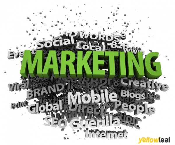 Duo Link Media Consultants
