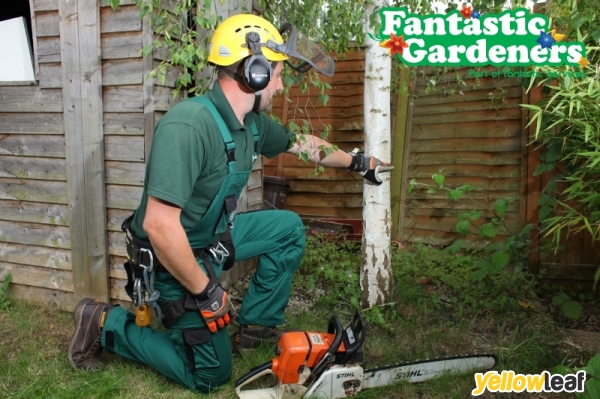 Fantastic Gardeners