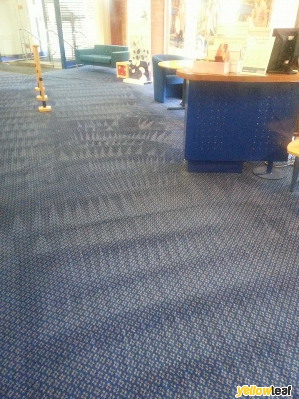Forest Lea Carpet & Upholstery Cleaning