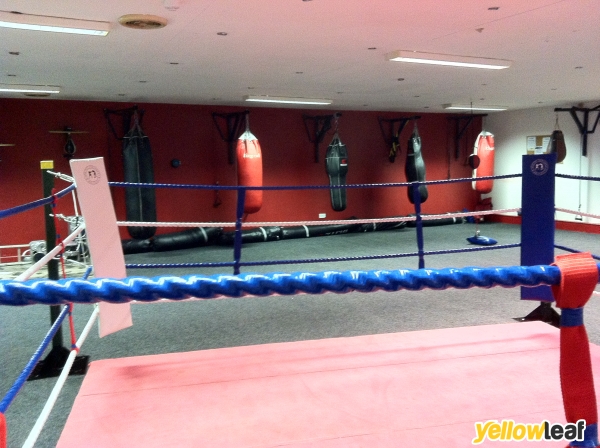 Certified Training Academy Gym