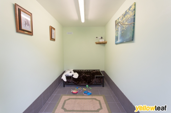 Acaster Dog Boarding - Luxury Boarding Kennels