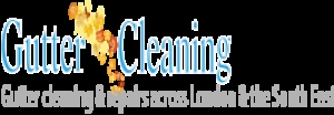 Gutter Cleaning